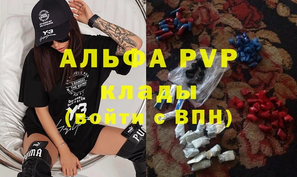 гашик Нея