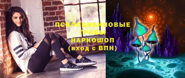 герыч Новодвинск