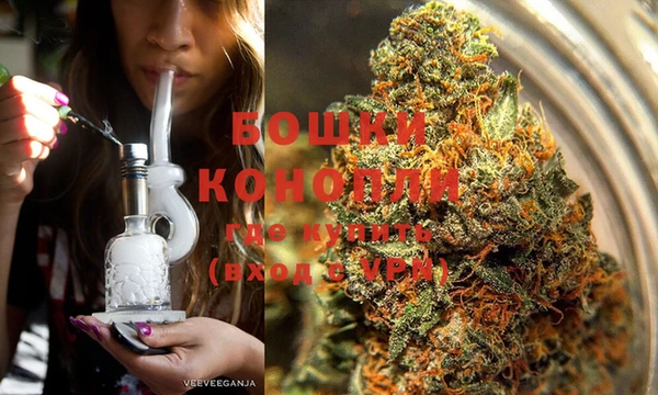 гашик Нея