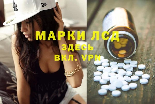 гашик Нея