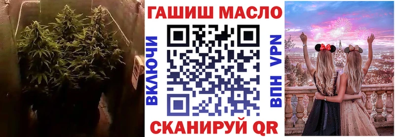 продажа наркотиков  Лакинск  ТГК гашишное масло 